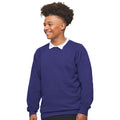 Purple - Back - AWDis Academy Mens Crew Neck Raglan Sweatshirt