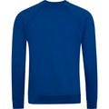 Deep Royal - Back - AWDis Academy Mens Crew Neck Raglan Sweatshirt