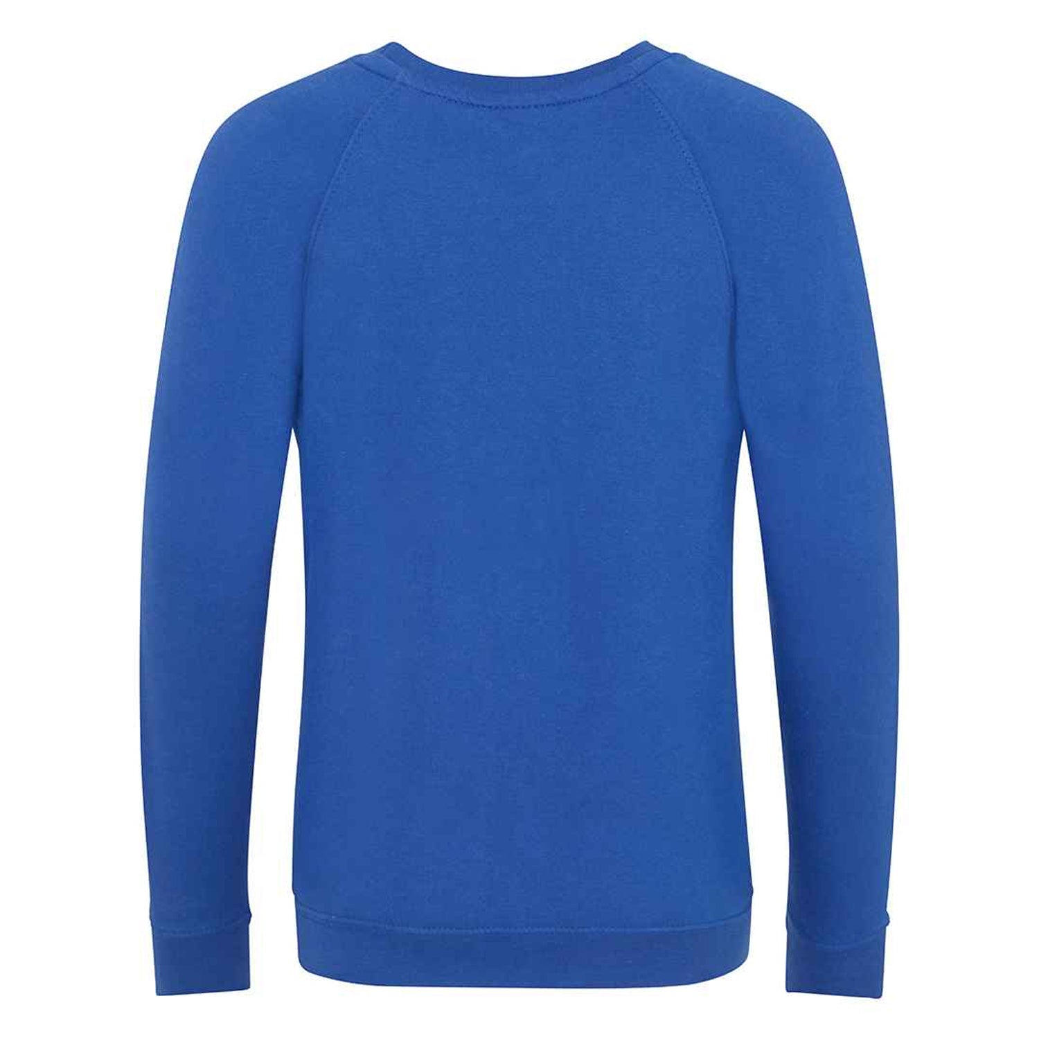 Royal Blue - Back - AWDis Academy Childrens-Kids Crew Neck Raglan School Sweatshirt