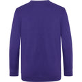 Purple - Back - AWDis Academy Childrens-Kids Junior V Neck School Jumper-Sweatshirt