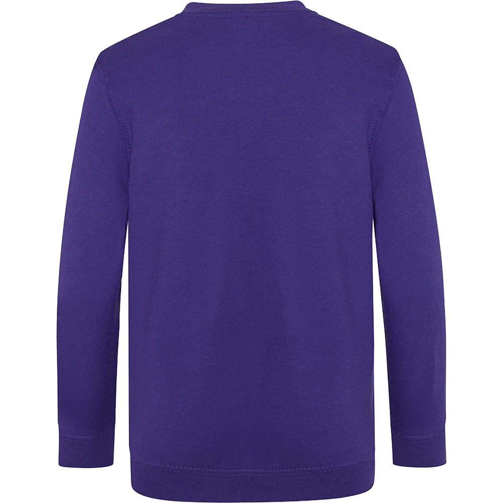 Purple - Back - AWDis Academy Childrens-Kids Junior V Neck School Jumper-Sweatshirt