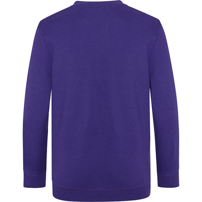 Purple - Back - AWDis Academy Childrens-Kids Junior V Neck School Jumper-Sweatshirt