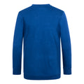 Deep Royal - Back - AWDis Academy Childrens-Kids Junior V Neck School Jumper-Sweatshirt