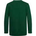 Green - Back - AWDis Academy Childrens-Kids Junior V Neck School Jumper-Sweatshirt