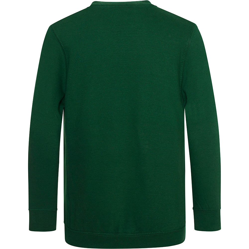 Green - Back - AWDis Academy Childrens-Kids Junior V Neck School Jumper-Sweatshirt