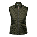 Olive - Front - Nimbus Women-Ladies Camden Quilted Gilet-Bodywarmer