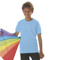 Sky Blue - Back - Fruit Of The Loom Childrens-Kids Original Short Sleeve T-Shirt