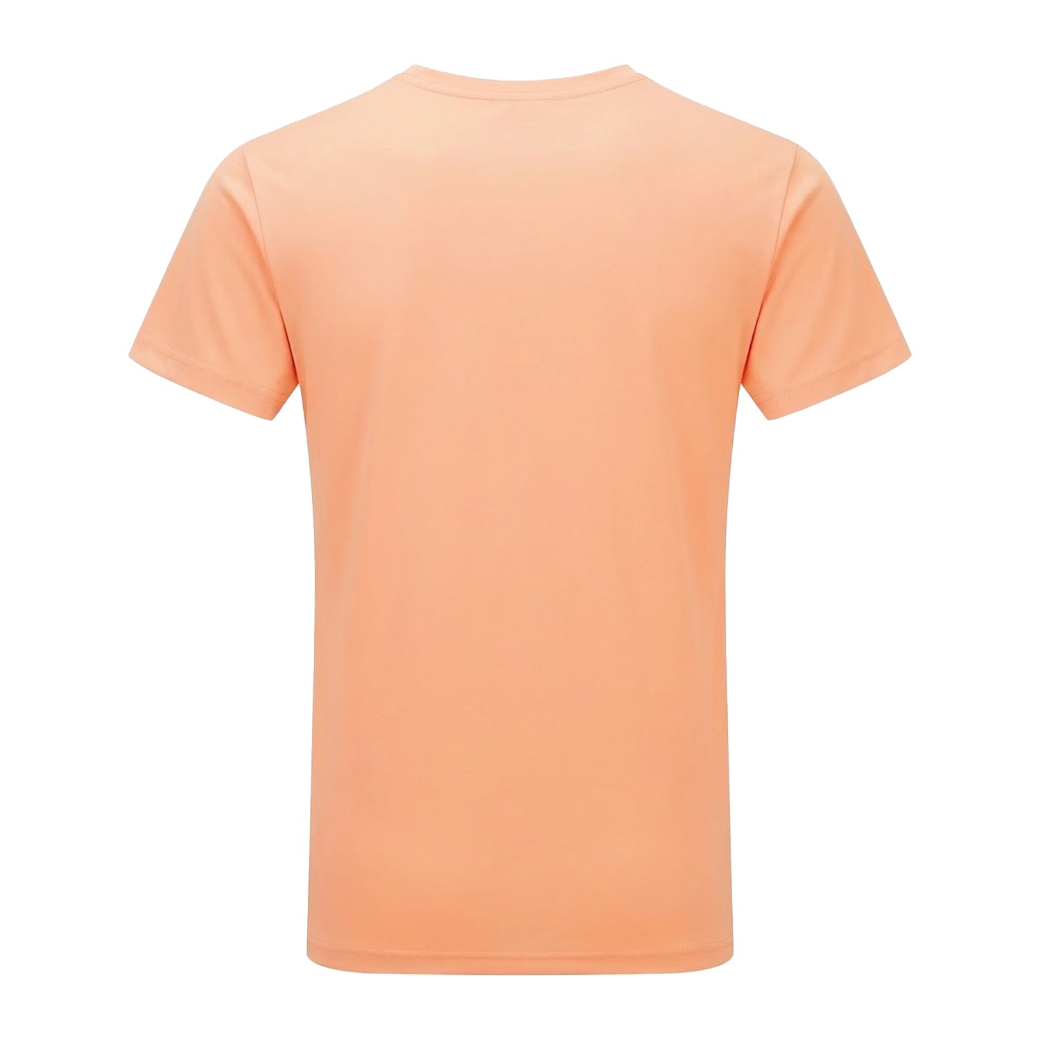 Melon - Back - Tri Dri Mens Short Sleeve Lightweight Fitness T-Shirt