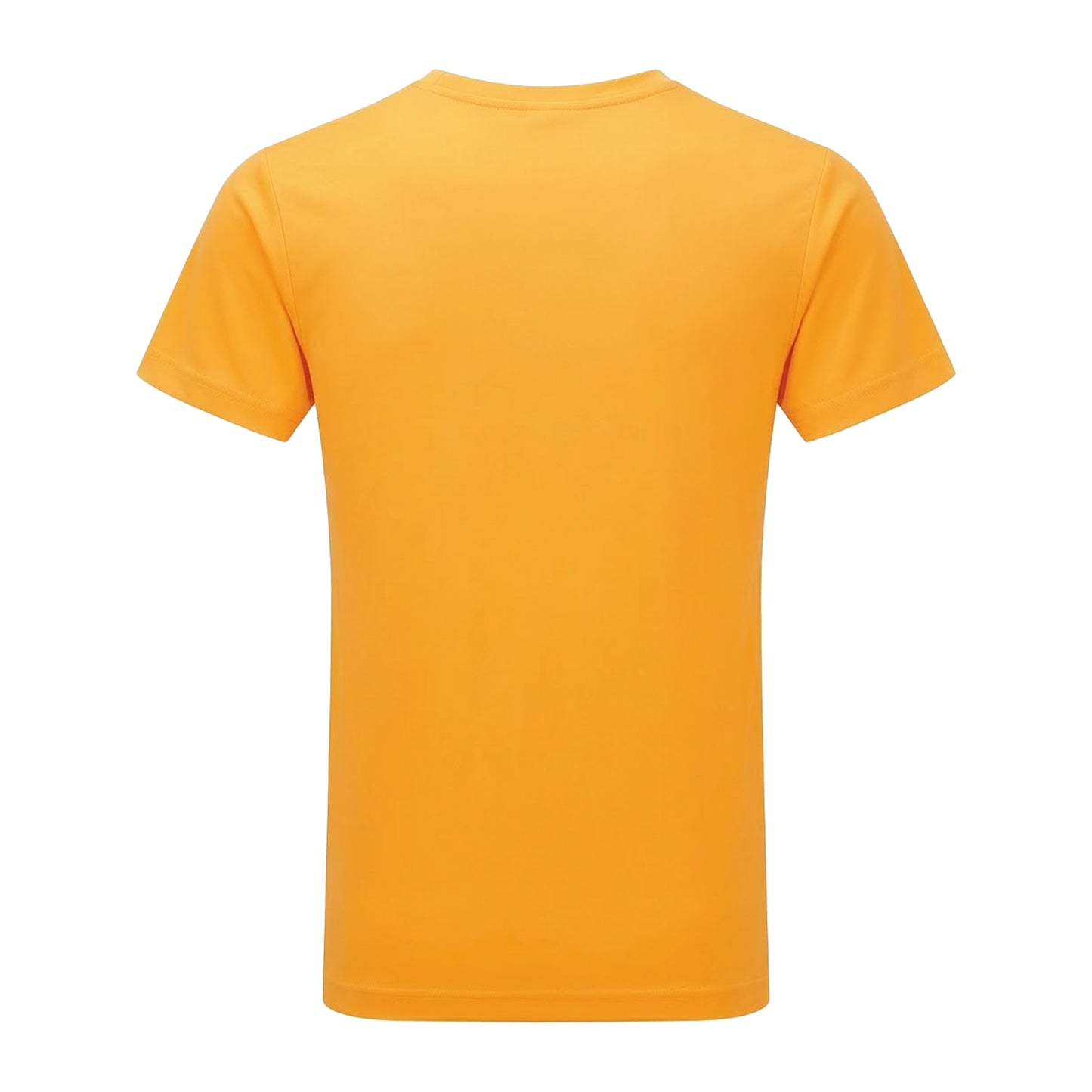 Gold - Back - Tri Dri Mens Short Sleeve Lightweight Fitness T-Shirt