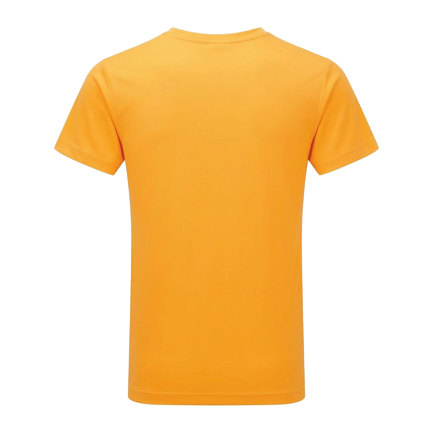 Gold - Back - Tri Dri Mens Short Sleeve Lightweight Fitness T-Shirt