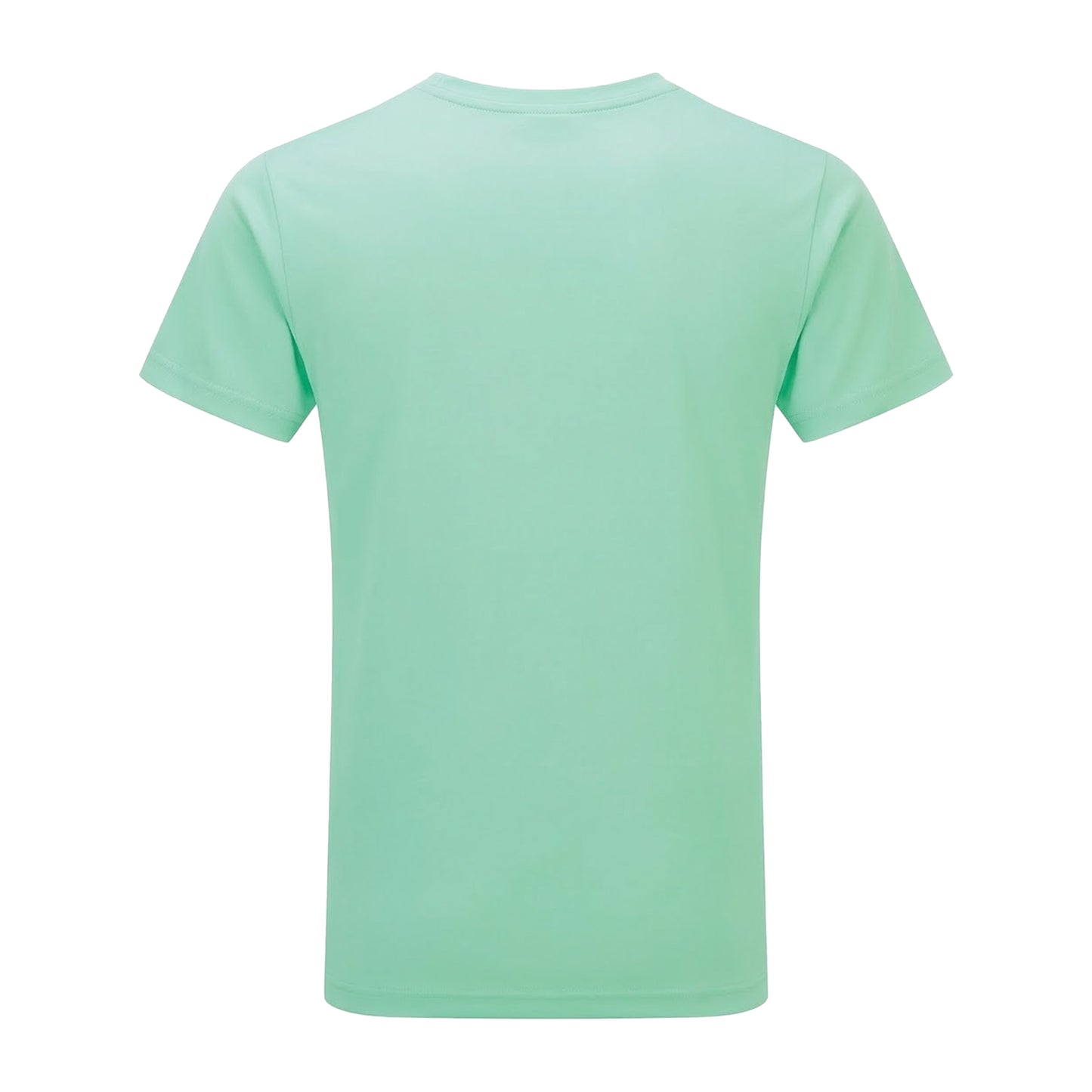 Peppermint - Back - Tri Dri Mens Short Sleeve Lightweight Fitness T-Shirt