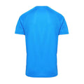 Sapphire - Back - Tri Dri Mens Panelled Short Sleeve T-Shirt
