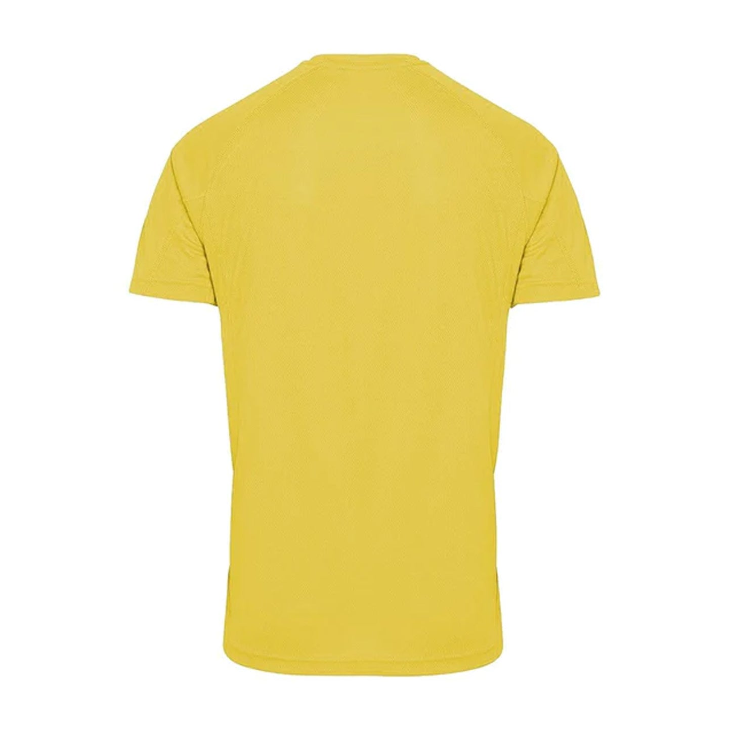 Sun Yellow - Back - Tri Dri Mens Panelled Short Sleeve T-Shirt