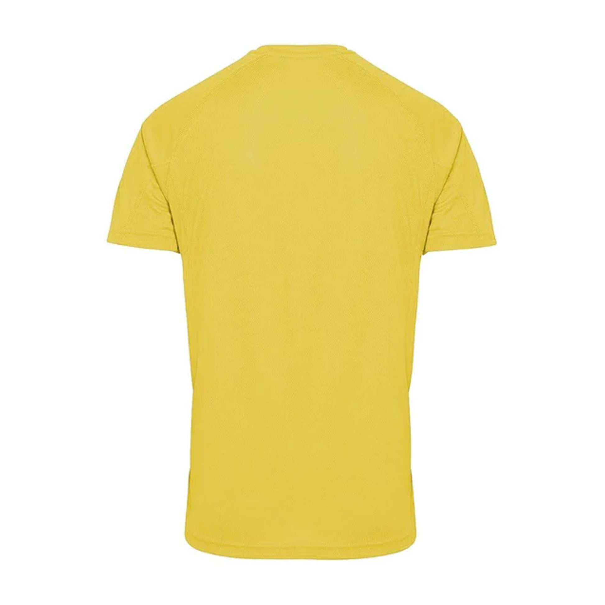 Sun Yellow - Back - Tri Dri Mens Panelled Short Sleeve T-Shirt
