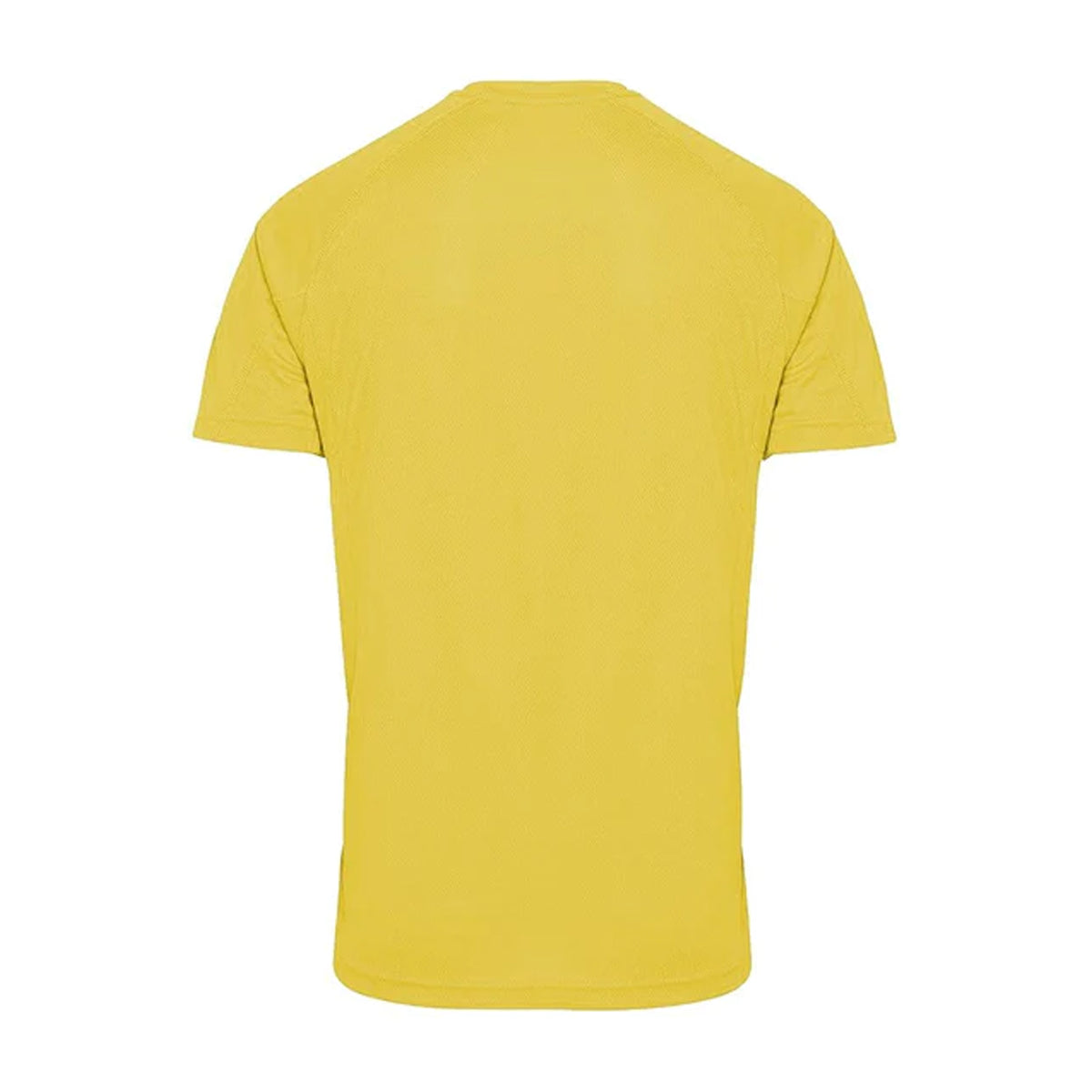 Sun Yellow - Back - Tri Dri Mens Panelled Short Sleeve T-Shirt