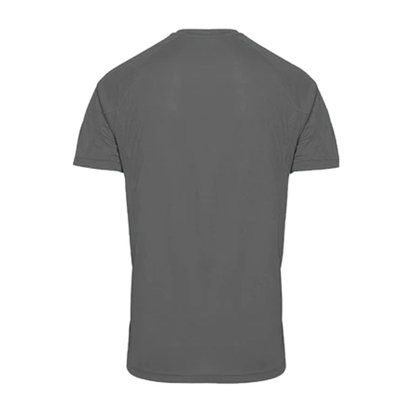 Charcoal - Back - Tri Dri Mens Panelled Short Sleeve T-Shirt