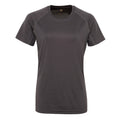 Charcoal - Front - Tri Dri Womens-Ladies Panelled Crew Neck T-Shirt