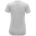 Silver Melange - Back - Tri Dri Womens-Ladies Performance Short Sleeve T-Shirt