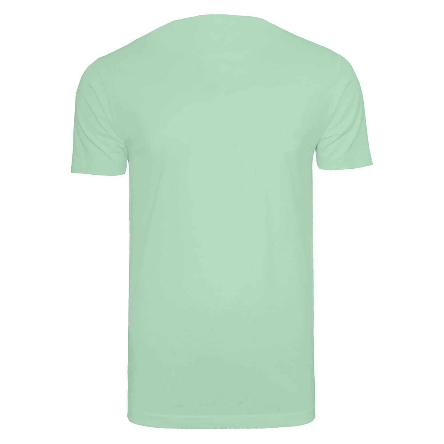 Neo Mint - Back - Build Your Brand Mens T-Shirt Round Neck