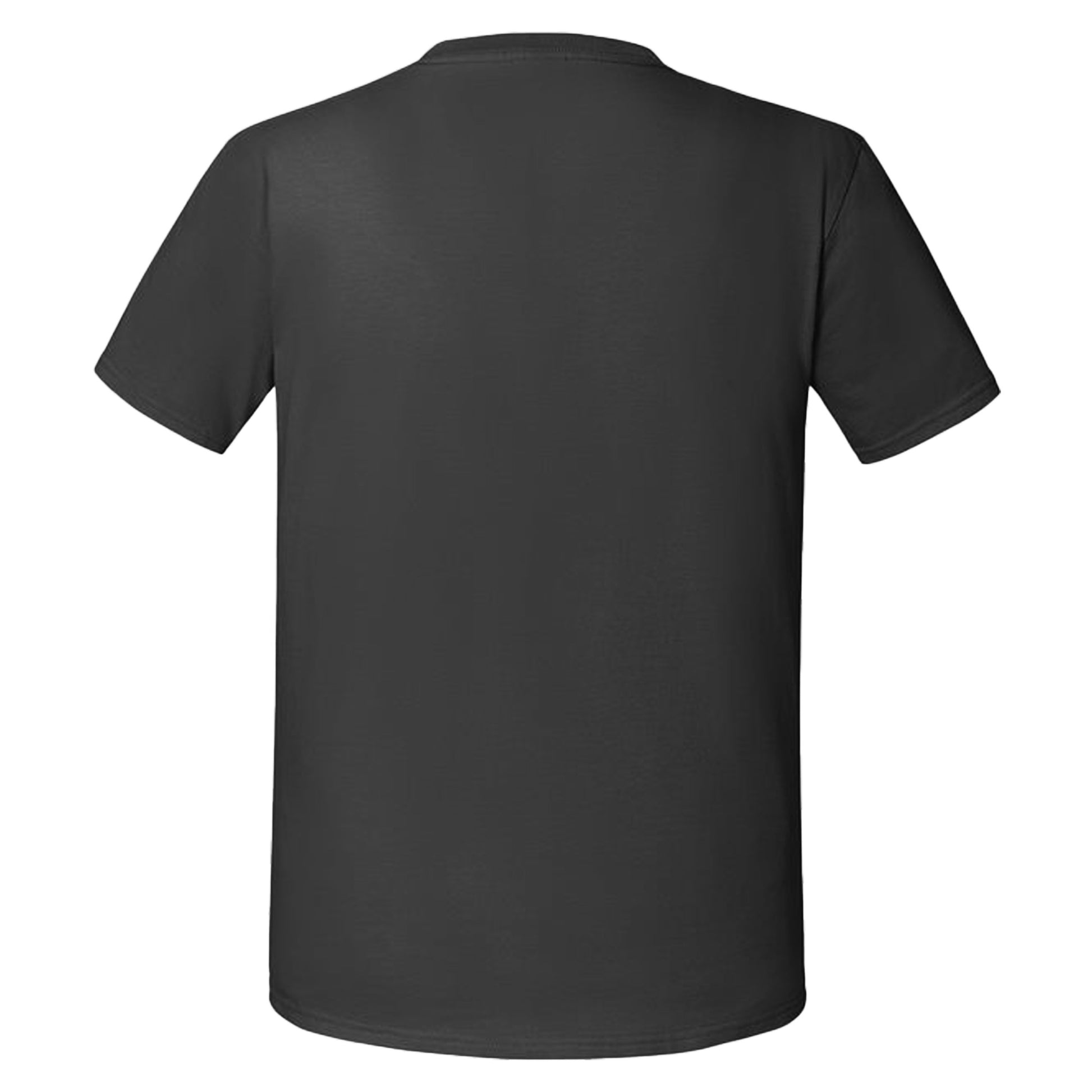 Light Graphite - Back - Fruit Of The Loom Mens Iconic 195 Ringspun Premium Tshirt