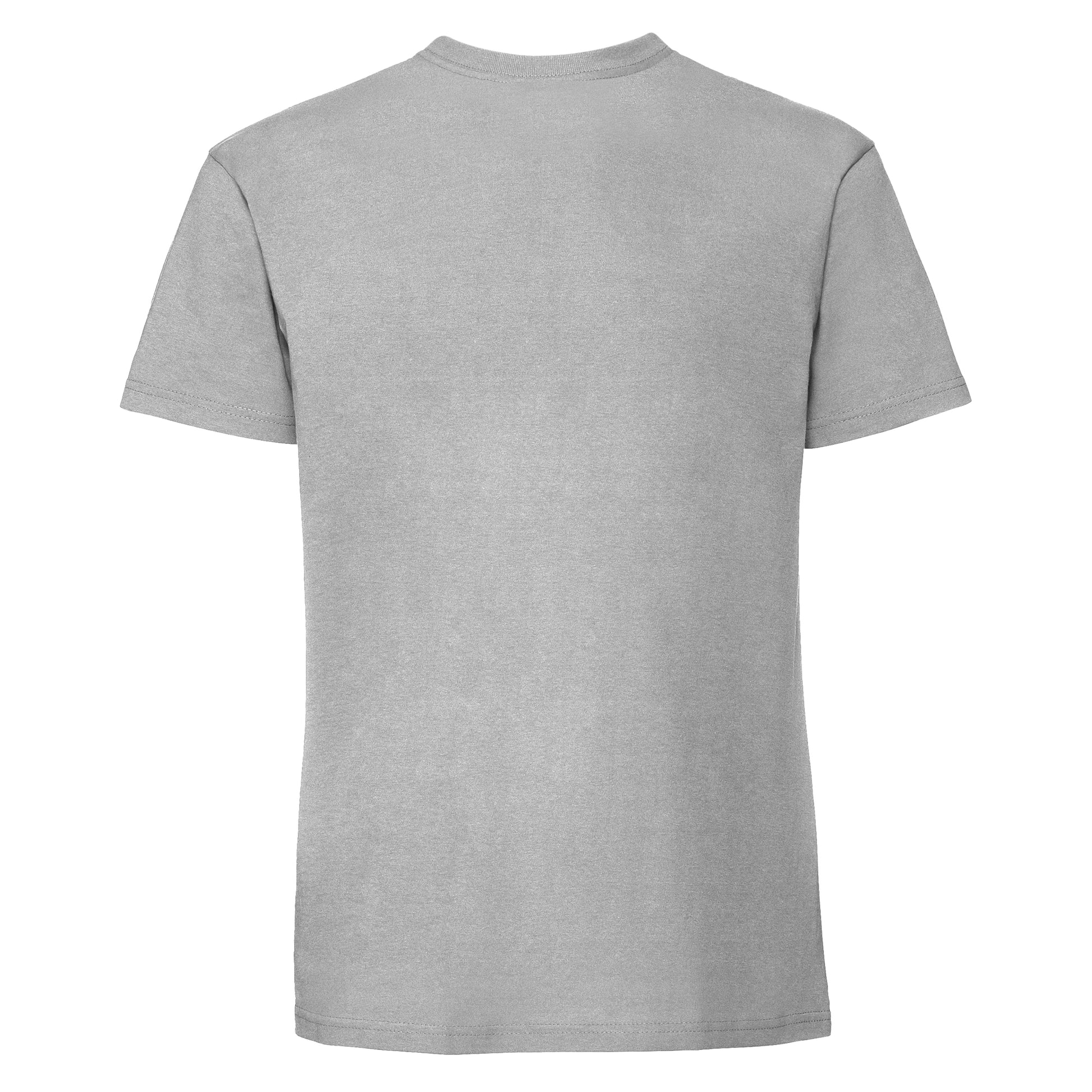 Zinc - Back - Fruit Of The Loom Mens Iconic 195 Ringspun Premium Tshirt