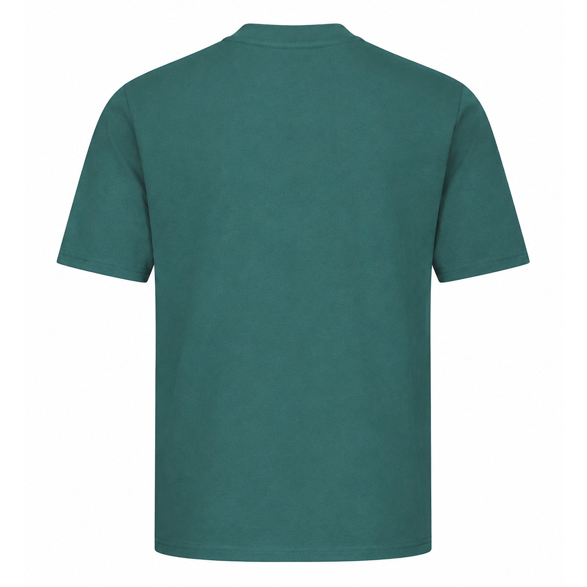 Moss Green - Back - Alternative Apparel Womens-Ladies Eco-Jersey T-Shirt