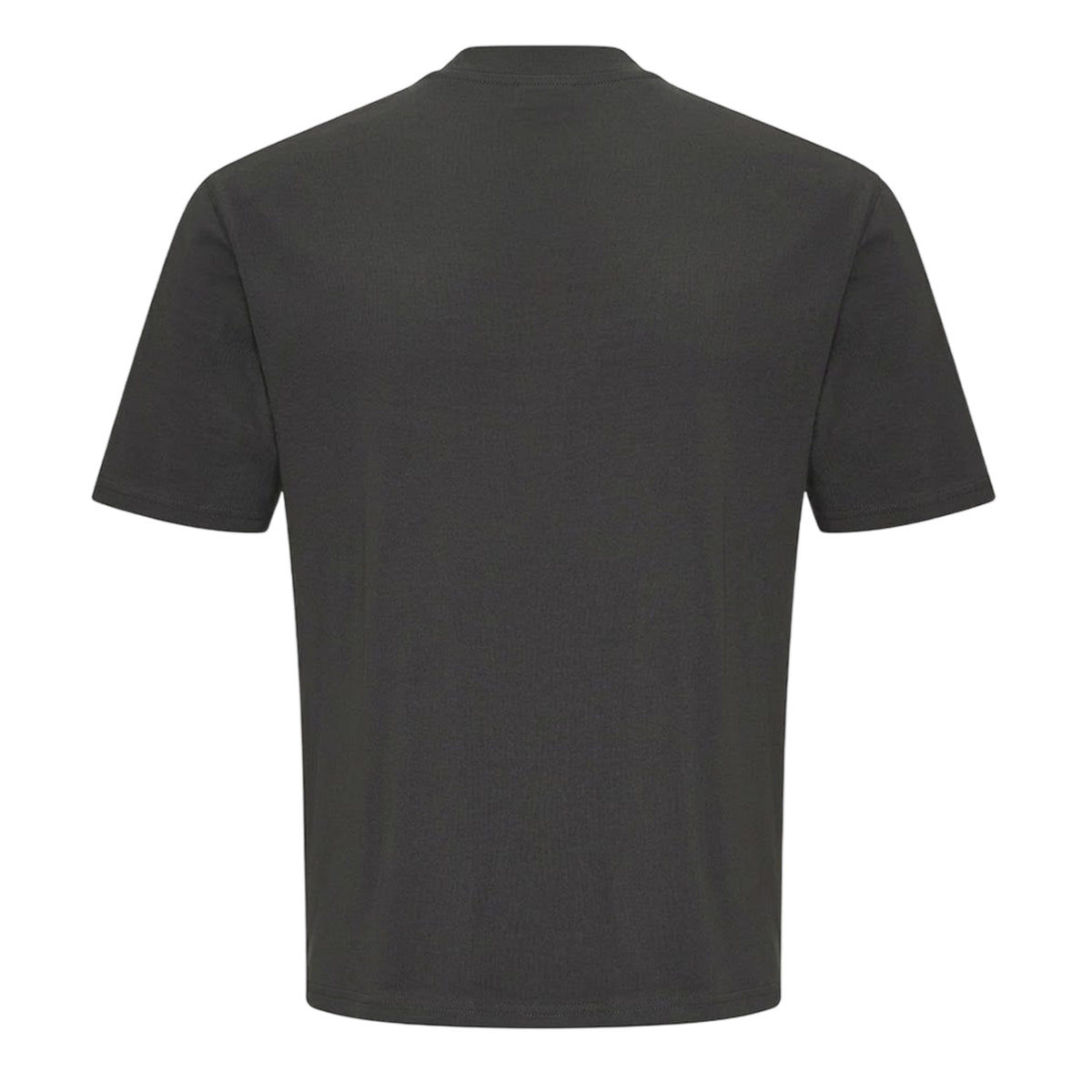 Solid Charcoal - Back - Alternative Apparel Womens-Ladies Eco-Jersey T-Shirt