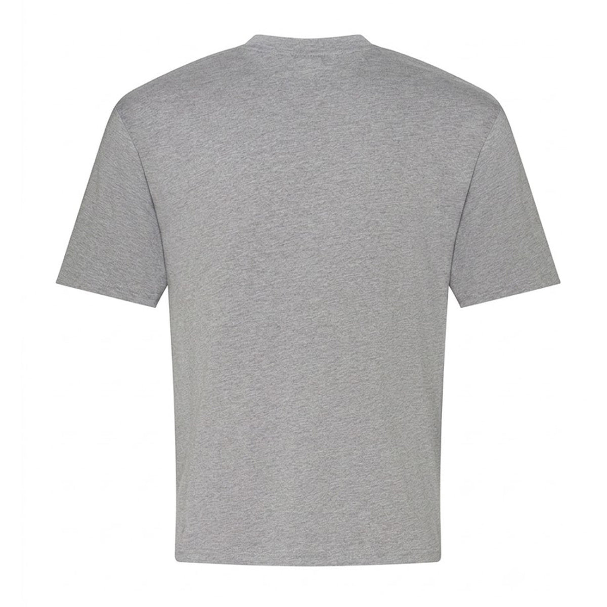 Heather Grey - Back - Alternative Apparel Womens-Ladies Eco-Jersey T-Shirt