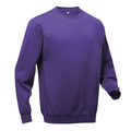 Purple - Side - Pro RTX Mens Pro Sweatshirt
