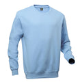 Sky Blue - Front - Pro RTX Mens Pro Sweatshirt