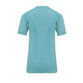 Turquoise - Back - TriDri Womens-Ladies Seamless 3D Fit Multi Sport Performance Short Sleeve Top