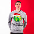 Grey - Back - Christmas Shop Adults Unisex Sprouts Christmas Jumper