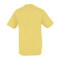 Sherbet Lemon - Back - AWDis Just Cool Mens Performance Plain T-Shirt