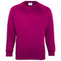Raspberry - Front - Maddins Kids Unisex Coloursure Crew Neck Sweatshirt - Schoolwear (Pack of 2)