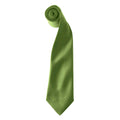 Oasis Green - Front - Premier Colours Mens Satin Clip Tie (Pack of 2)