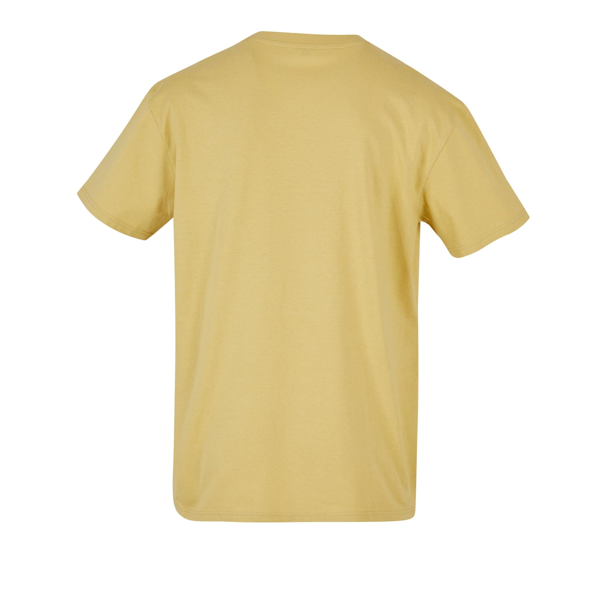 Pale Moss - Back - Build Your Brand Unisex Adults Heavy Oversized Tee