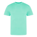 Peppermint - Front - Awdis Unisex Adult The 100 T-Shirt