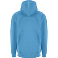 Sky Blue - Back - PRO RTX Mens Hoodie