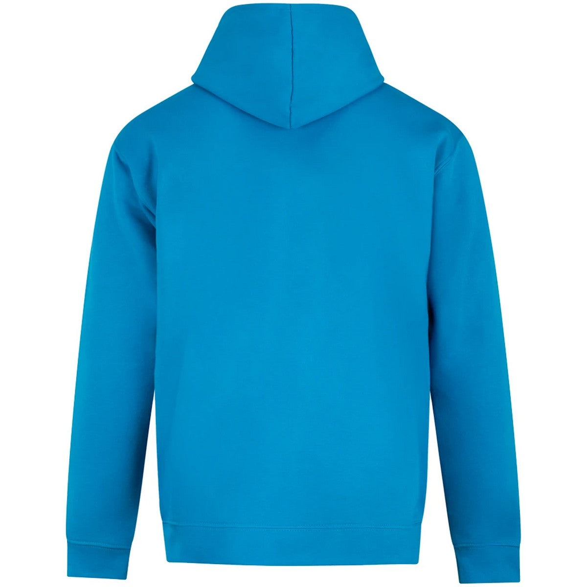Turquoise - Back - PRO RTX Mens Hoodie