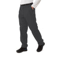 Carbon Grey - Back - Craghoppers Mens Expert Kiwi Tailored Cargo Trousers
