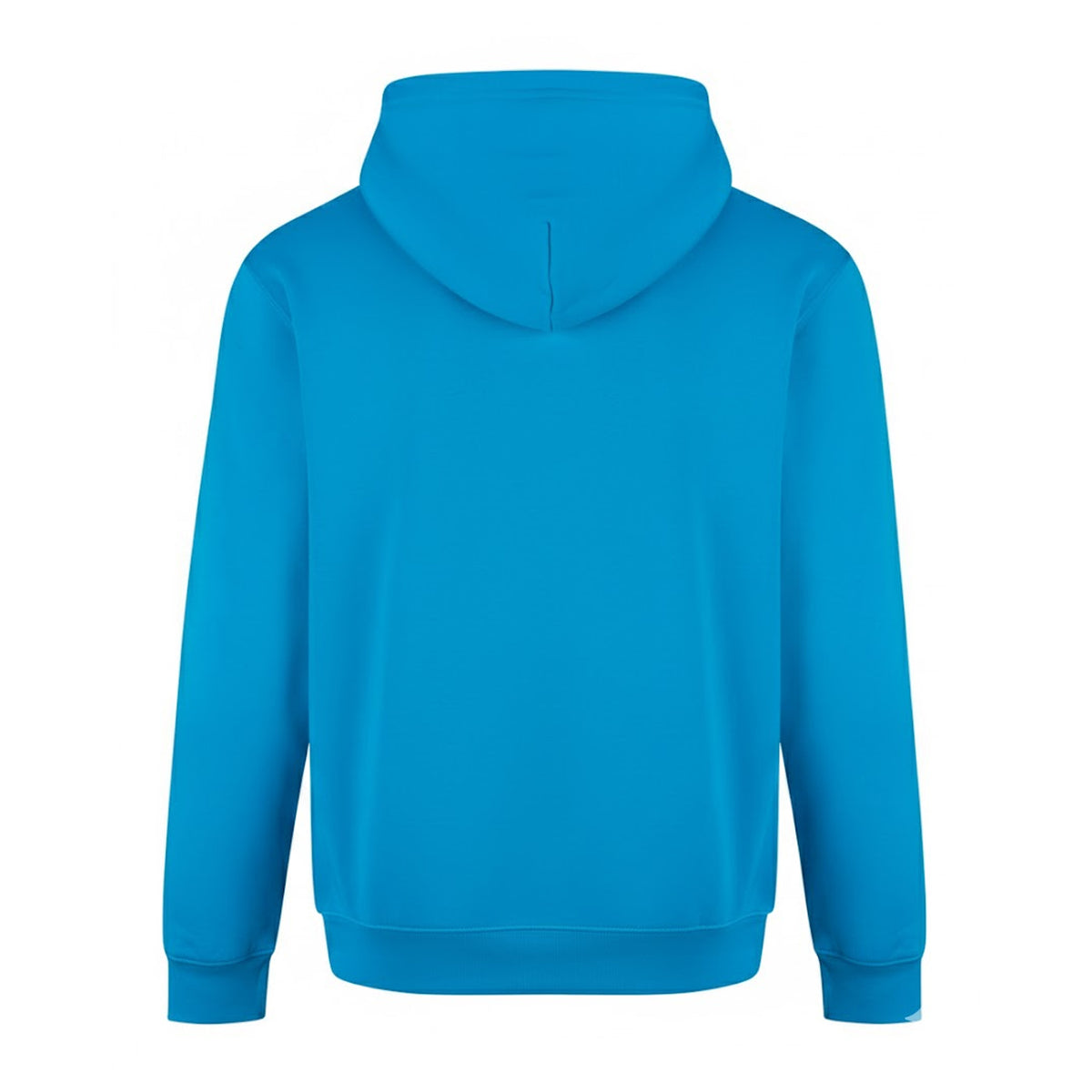 Turquoise Blue - Back - PRORTX Mens Hoodie