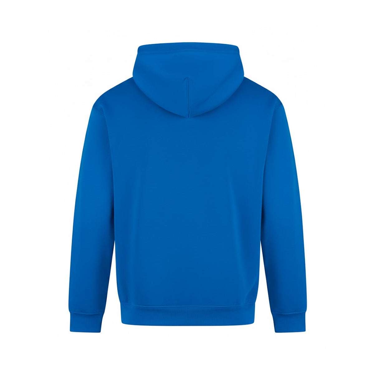 Sapphire Blue - Back - PRORTX Mens Hoodie