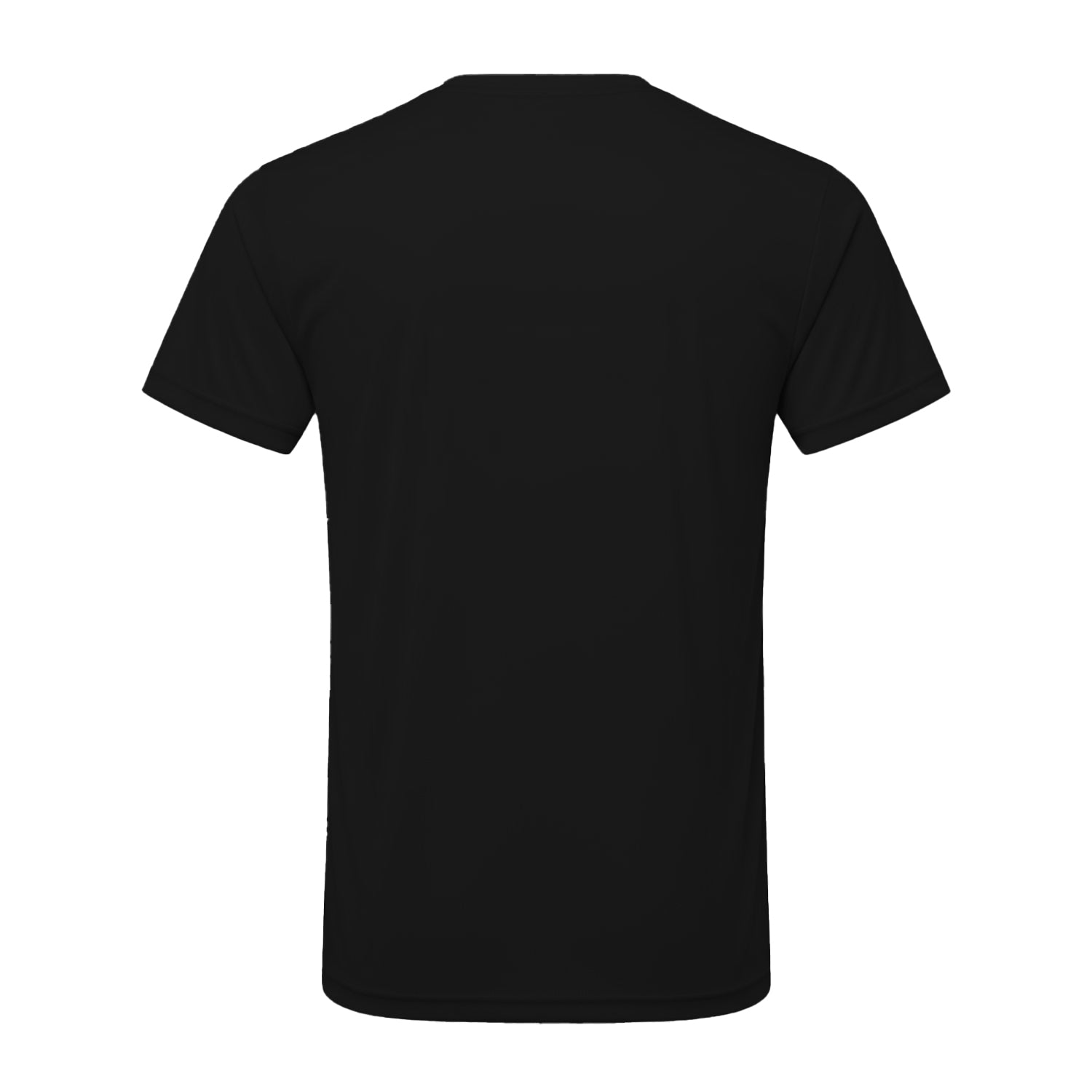 Black - Back - TriDri Mens Performance T-Shirt