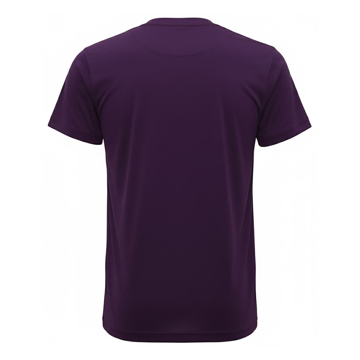 Bright Purple - Back - TriDri Mens Performance T-Shirt