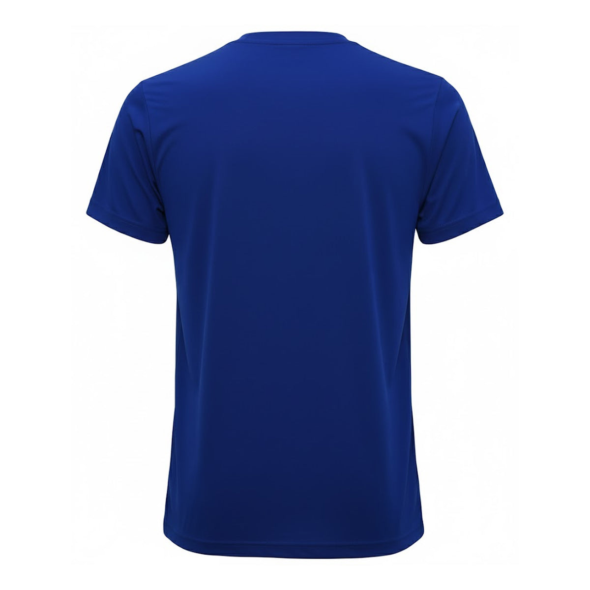 Royal Blue - Back - TriDri Mens Performance T-Shirt