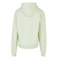 Light Mint - Back - Build Your Brand Mens Ultra Heavyweight Hoodie
