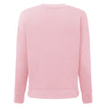 Light Pink - Back - TriDri Womens-Ladies Recycled Zipped Sweatshirt