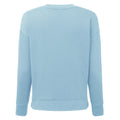 Sky Blue - Back - TriDri Womens-Ladies Recycled Zipped Sweatshirt