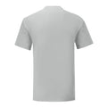 Zinc - Back - Fruit of the Loom Mens Iconic 150 T-Shirt