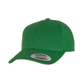 Classic Green - Front - Yupoong Unisex Adult Flexfit Classic Curved Snapback Cap